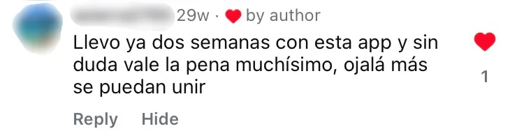 A user comment on Instagram