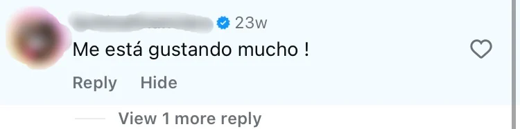 A user comment on Instagram
